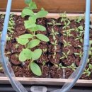 용미네농장 이미지