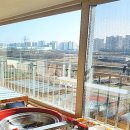 칠괴 우림필유 이미지