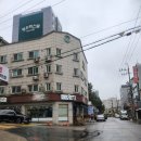 굴섬 | 수원 조원동 맛집 추천｜겨울 제철 굴보쌈🦪이 최고였던 굴섬집 솔직후기