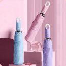 1231 이미지