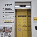 청주고양이카페아이캣유 이미지