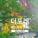 49상사 | 경기도 화성 가볼만한곳 더포레 카페 태풍상사 촬영지