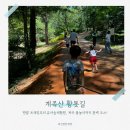 맥키스컴퍼니 | 대전 아이와 가볼만한곳: 계족산 황톳길에서 맨발 트래킹부터 유아숲체험원, 계곡 물놀이까지 완벽 코스!
