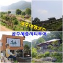 공주 가볼만한곳 공산성