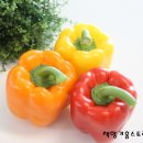 예동농장 이미지