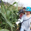 두억행복드림 이미지