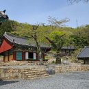 진일목장 | 해남 서동사 : 보물 대웅전과 동백 숲이 건네는 천년의 위로