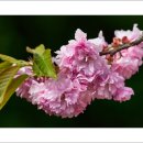 운서초등학교 이미지