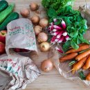 비건이지 이미지