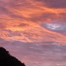 힐링이 되는 비내섬 이미지