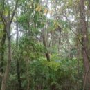 반송동232 이미지