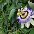 향긋농장 이미지