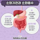 척척박사한의원 이미지