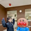 도깨비 | 일본 대마도 데이터 이심 eSIM 무제한 통화가능 로밍 도깨비 후기