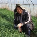 이병용 농장 이미지