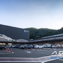 175 스포츠조선