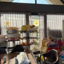 디토키즈풀빌라 이미지