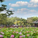 궁남지 문화관광해설사 이미지