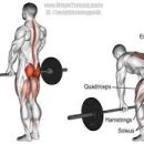 다이나믹 짐 이미지