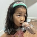 영진족발