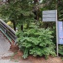 정원노래연습장 | [국내여행/ 내돈내산] 단양 소노벨 웨스트동 후기: 오션플레이·오솔길·남한강 산책