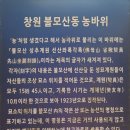 창원 삼정자동 마애여래좌상 | 평범한 일상에 감사를,