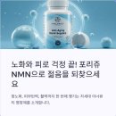 포리쥬 nmn 성분, 효능, 후기, 가격, 복용법 총정리!^^