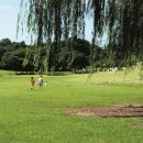 잔디밭