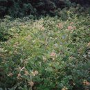 오덕농장 이미지