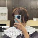 원흥헤어 | 일산 원흥 미용실 추천 토리헤어 원흥점 단발머리 애쉬브라운 후기