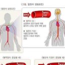 혈압정상수치 나이별 정상범위 저혈압수치 원인 이미지