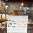 코코로브래드 이미지