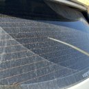 드림셀프세차타운 이미지