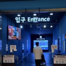 (온라인 공연) 벨벳토끼 | 대구 아쿠아리움 아기랑 다녀온 후기 할인 꿀팁 공연 정보까지 육아맘 솔직 리뷰
