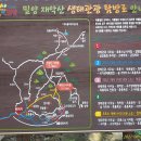 표충사탐방로(=작전도로) 이미지