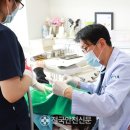 김석현치과의원 이미지