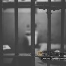 로앤로이드 행정사 사무소 이미지