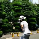 웰빙민박 Daum카페