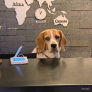 호텔일루와 이미지