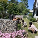 사비 그리고 달 이미지