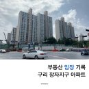 한숲조경(주) | 구리 장자지구 8호선 개통 예정 아파트 임장 후기