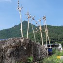 작품5(솟대) 이미지