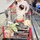 중앙로2L | 9월 둘째주 코스트코 하남점 나들이 세일품목 휴무일