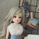 리코리아몰 이미지