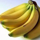 바나나 동물병원 이미지