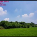 봉양보건진료소 이미지