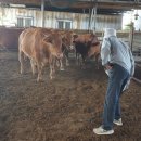 이문목장 이미지