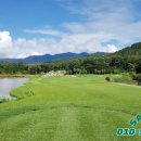 동양유도클럽 이미지