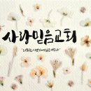 삭개오와뽕나무 | 점유말고 사랑하라 (사랑믿음교회)