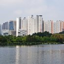 일산호수공원 이미지